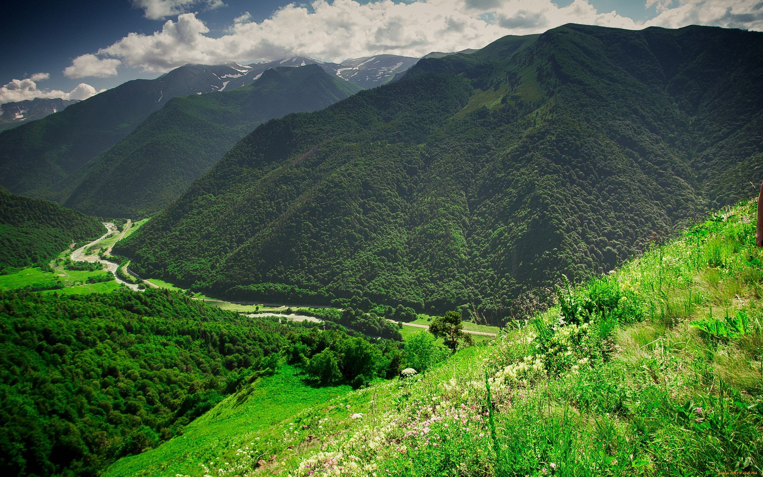 Чечня горы. Таджикистан Душанбе горы. Горы Грузии. Горы Сванетии. Грузия зеленые горы.