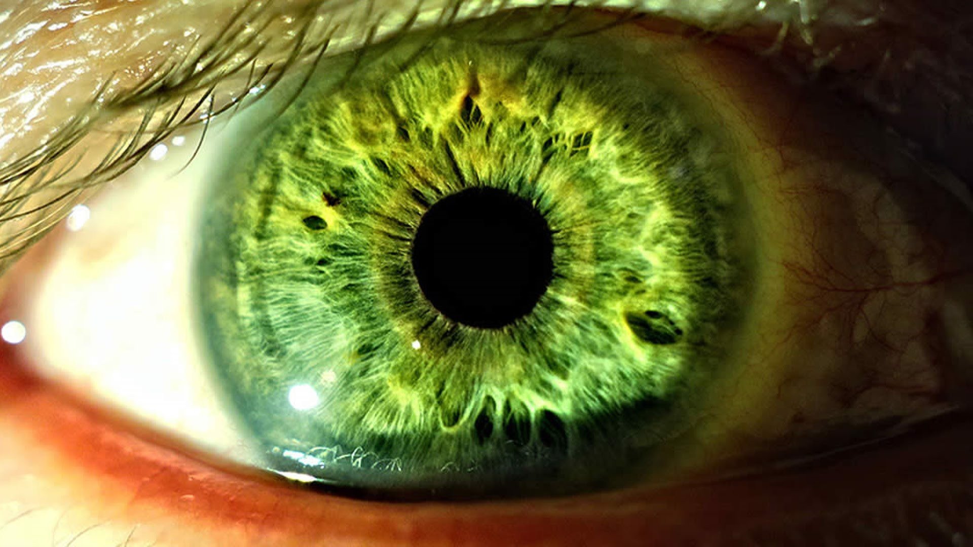 Зеленые глаза на свету. Зелёные глаза. Красивые Радужки глаз. Зеленая радужка глаз. Ярко зеленые глаза.