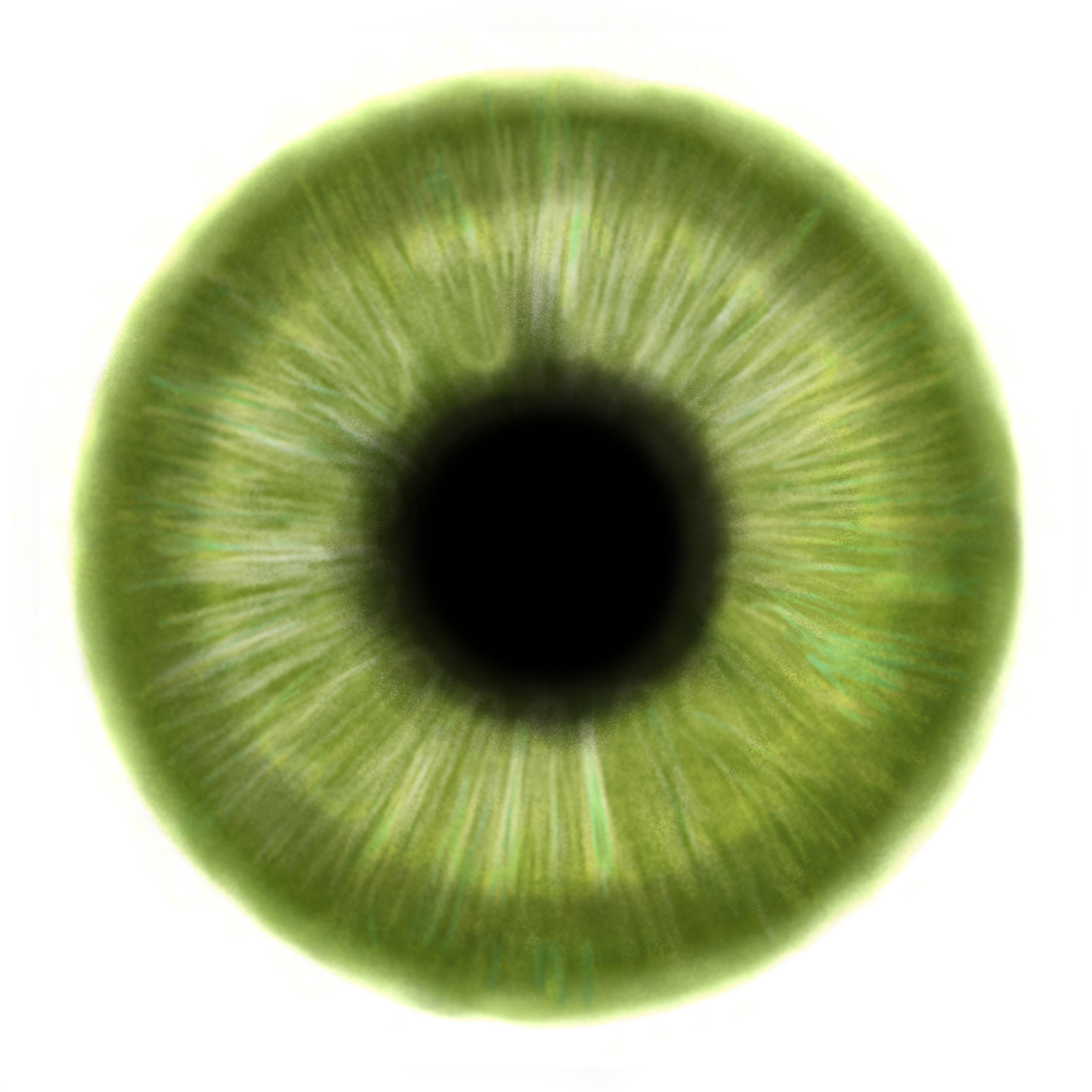 Зеленая радужка глаза. Зеленый зрачок. Зеленый цвет Радужки. Зеленый зрачок глаза. Радужка глаза.