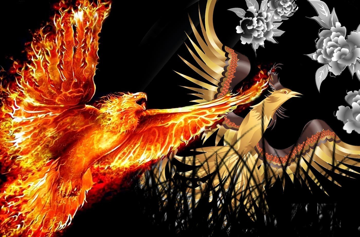 Феникс обои. Огненный Сокол Рарог. Симург птица Феникс. Красный Феникс фэн шуй. Римский Феникс.