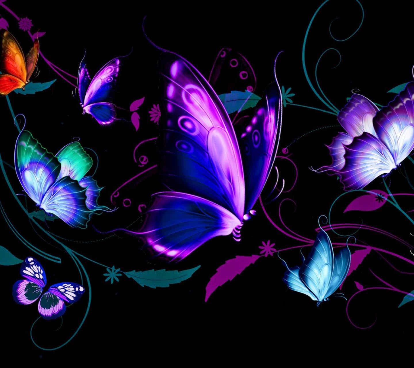 Бабочка на цветке на черном фоне
