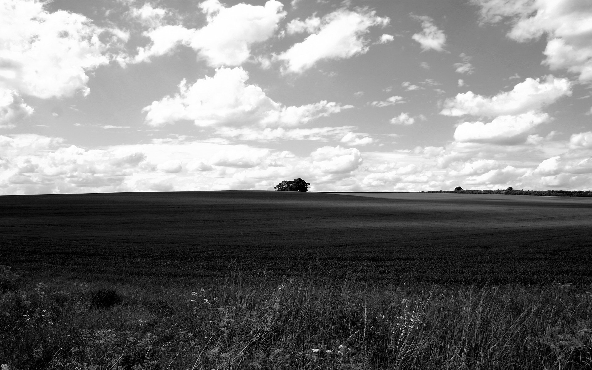 Легендарное поле. Поле черно белое. Равнина. Степной пейзаж. Черная степь.