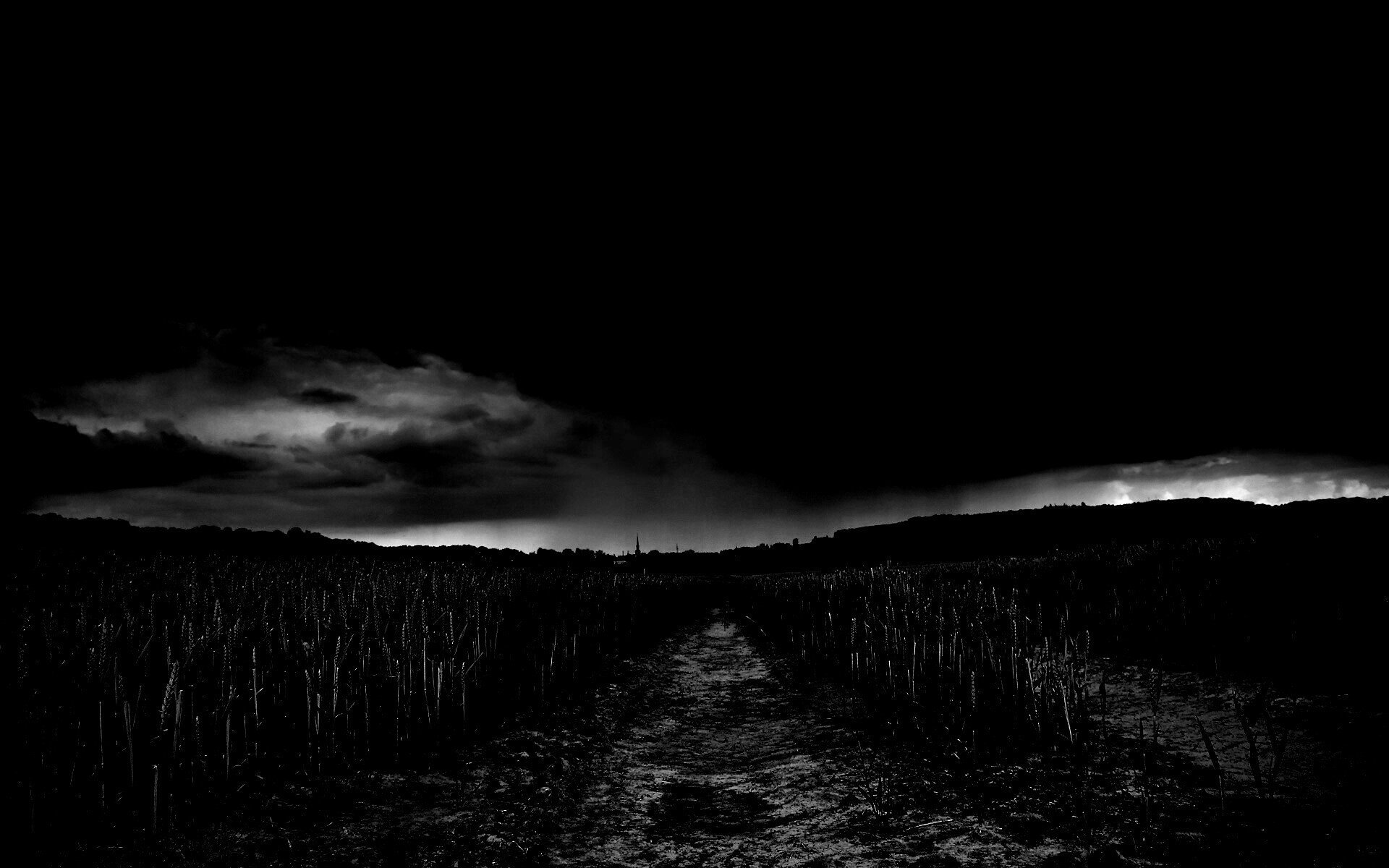 Темно насколько. Мрачное поле. Мрак. Темное поле. Темные картинки.