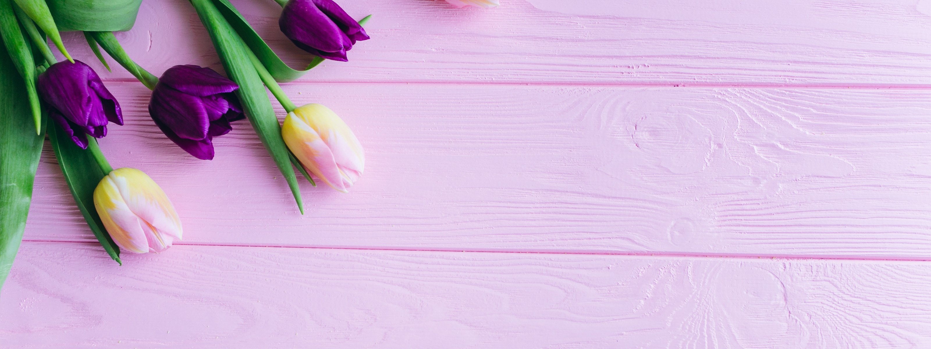 Обложка для вк тюльпаны. Тюльпаны баннер. Тюльпаны фон. Тюльпаны на розовом фоне. Красивый фон с тюльпанами.
