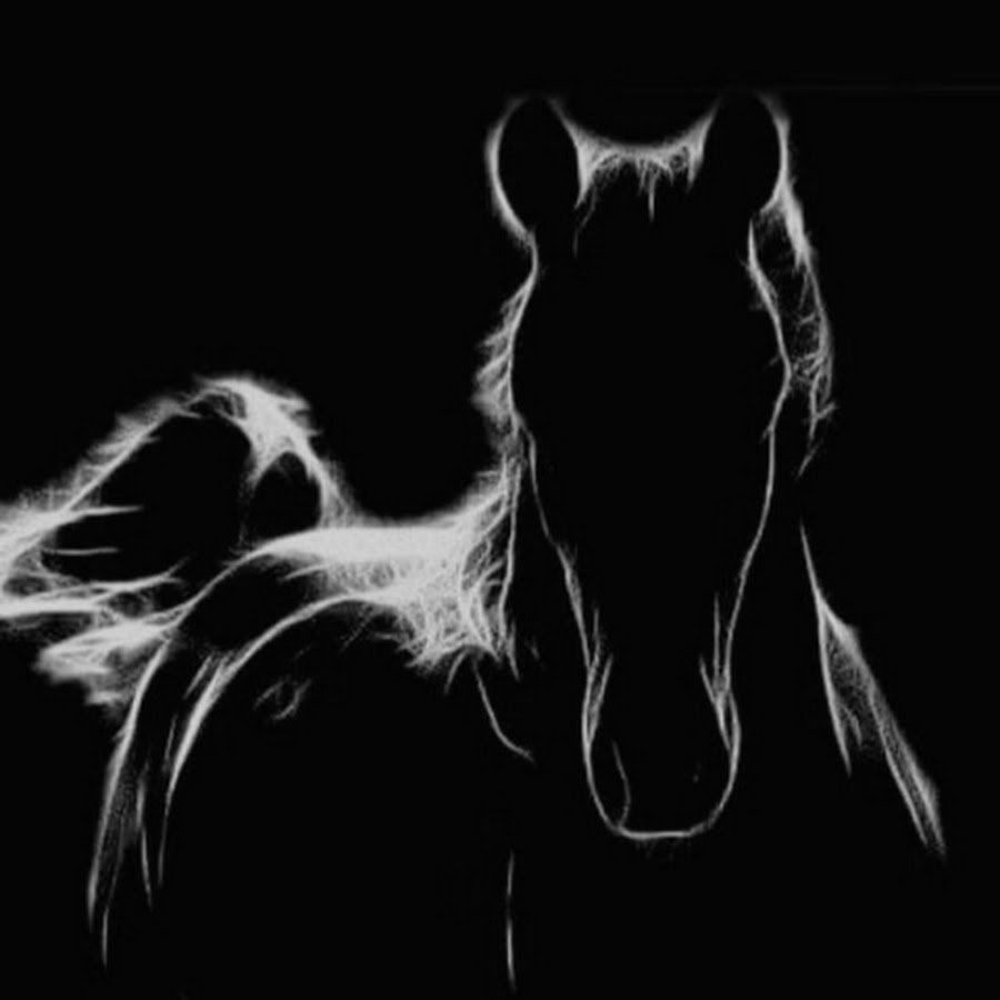 Белая лошадь на черном фоне рисунок