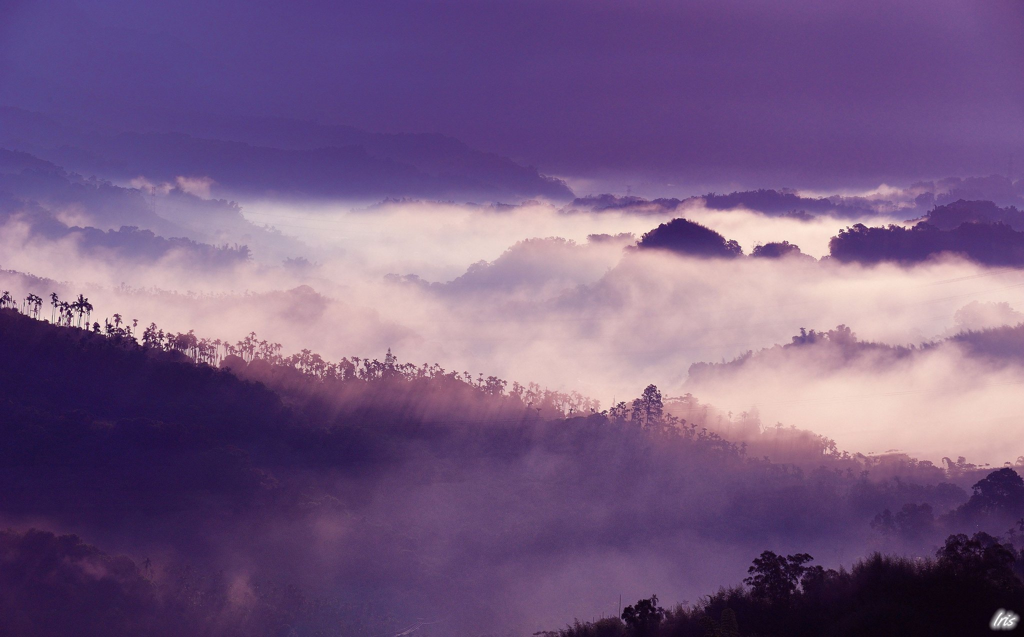 Гора розовое облако. Сиреневые горы. Фиолетовый пейзаж. Фиолетовый туман. Сиреневый туман в горах.