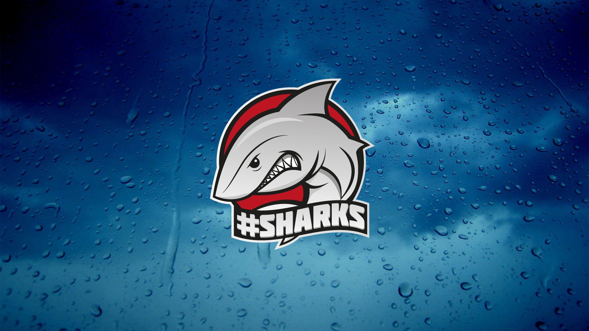 Sharks store ru. Команда Sharks КС го. Логотипы команд. Акула логотип. Акула на аву.