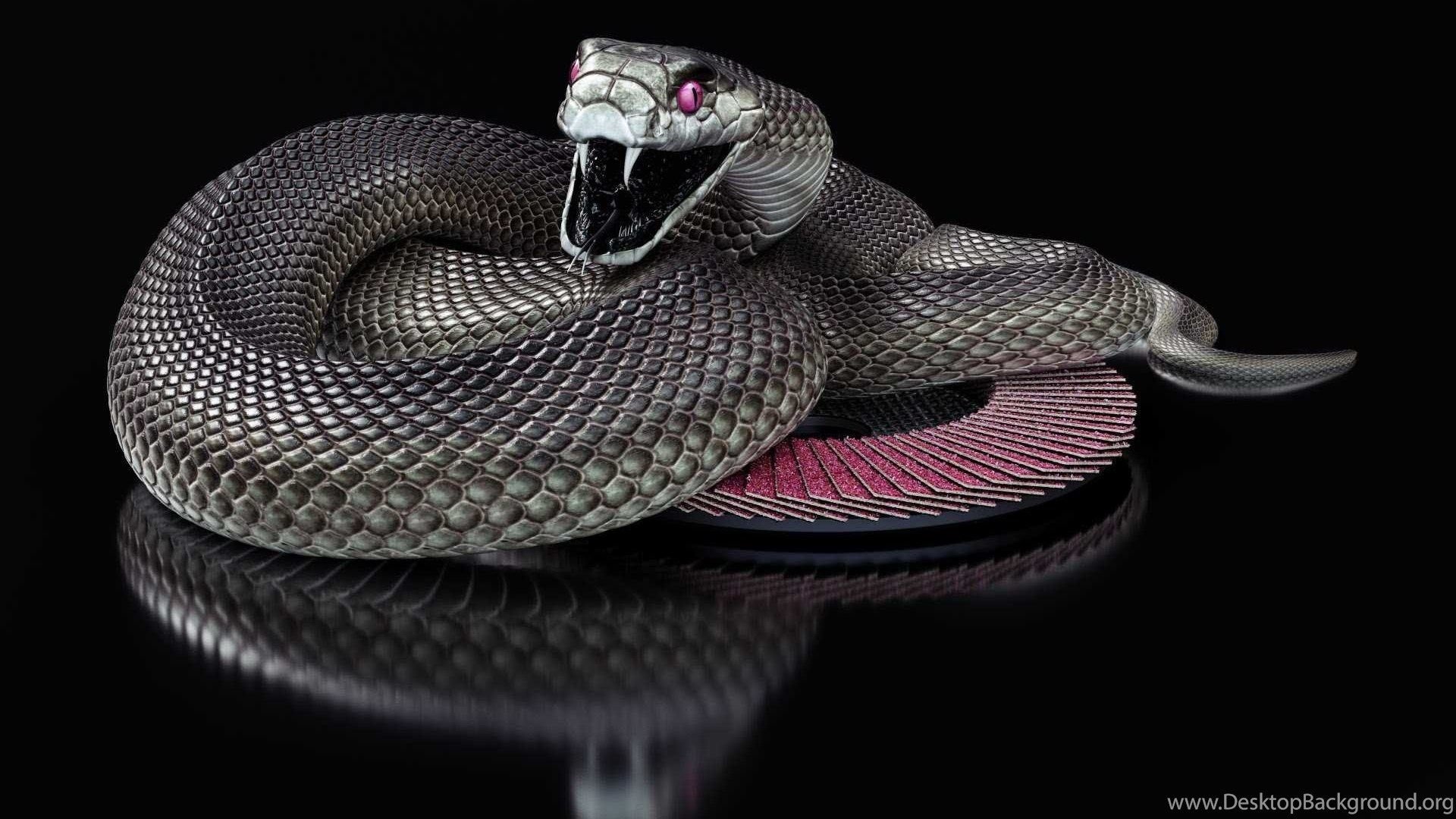 Гибриды змей