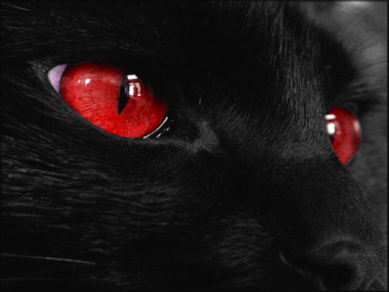 Красные Глаза На Черном Фоне