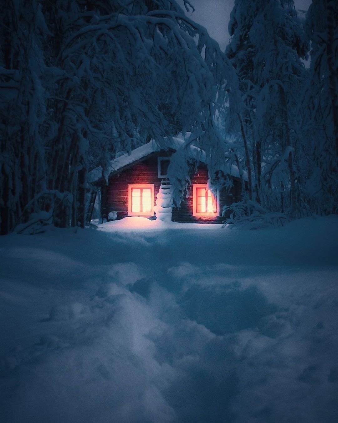 Дом в ночном лесу