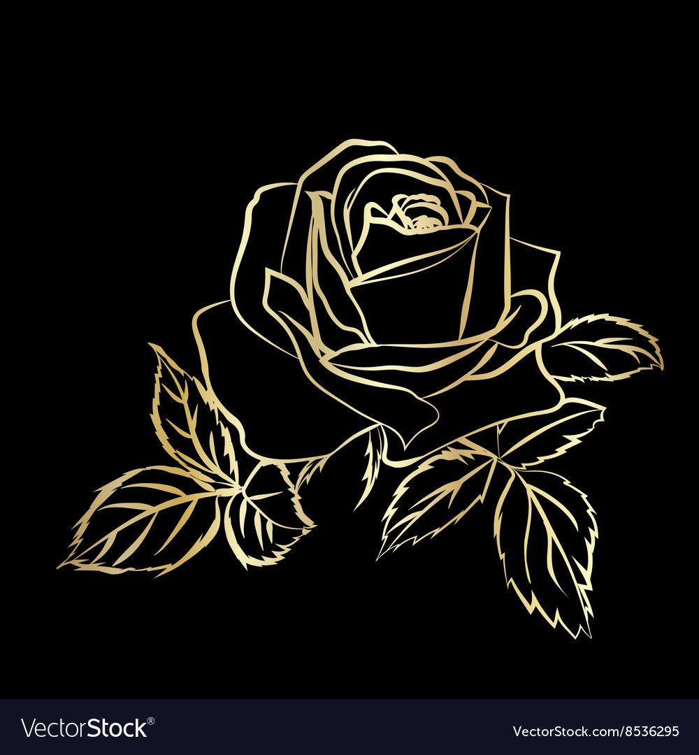 Контуры на черном фоне. Очертания розы на черном фоне. Золотые розы на черном.