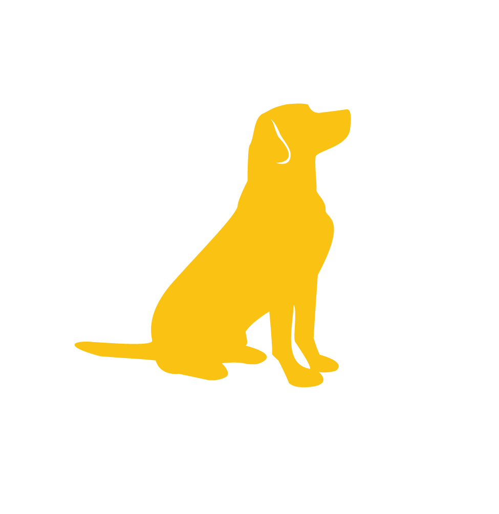 Логотип собака. Собака на желтом фоне. Логотип пес. Собака на гербе