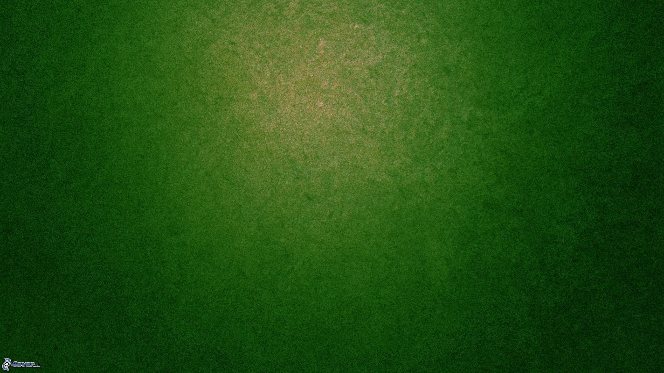 Фон зеленый болотный - 80 фото