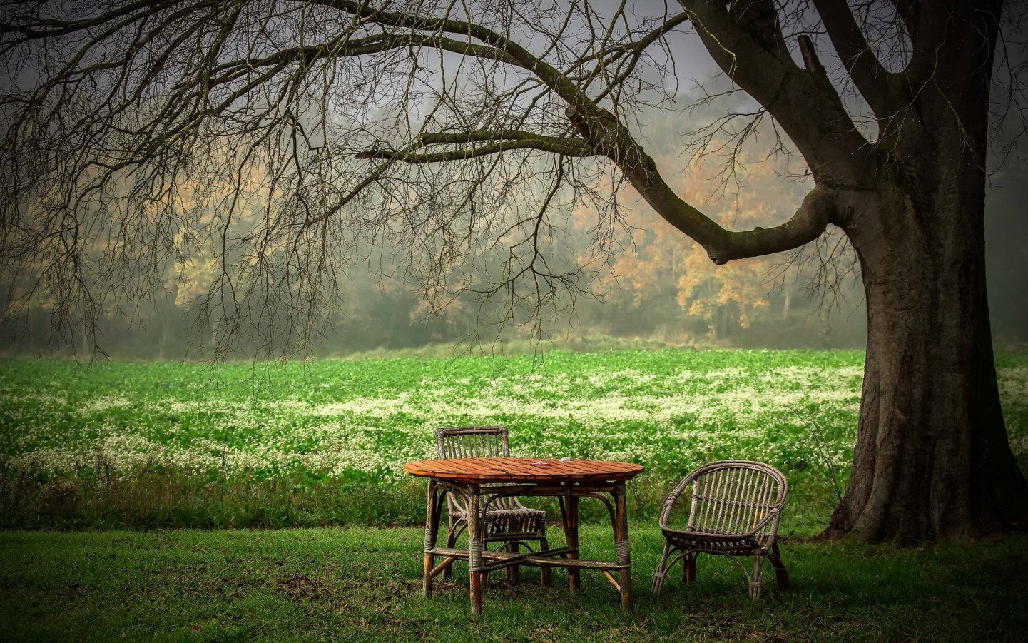Деревянный стол на природе