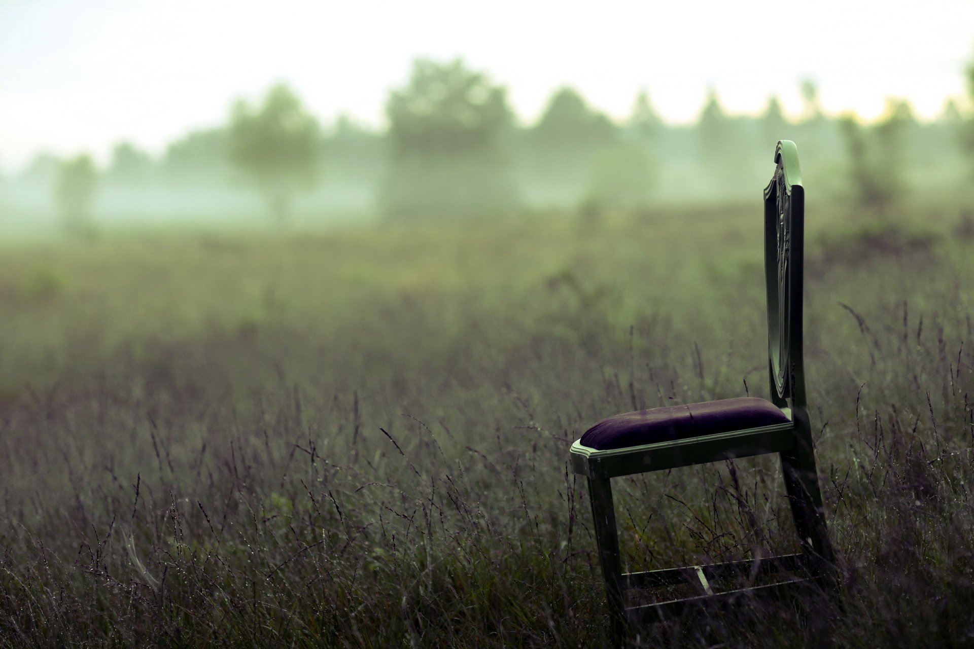 Кинуть стул. Стул для природы. Пустой стул. Одинокий стул. Стул в поле.