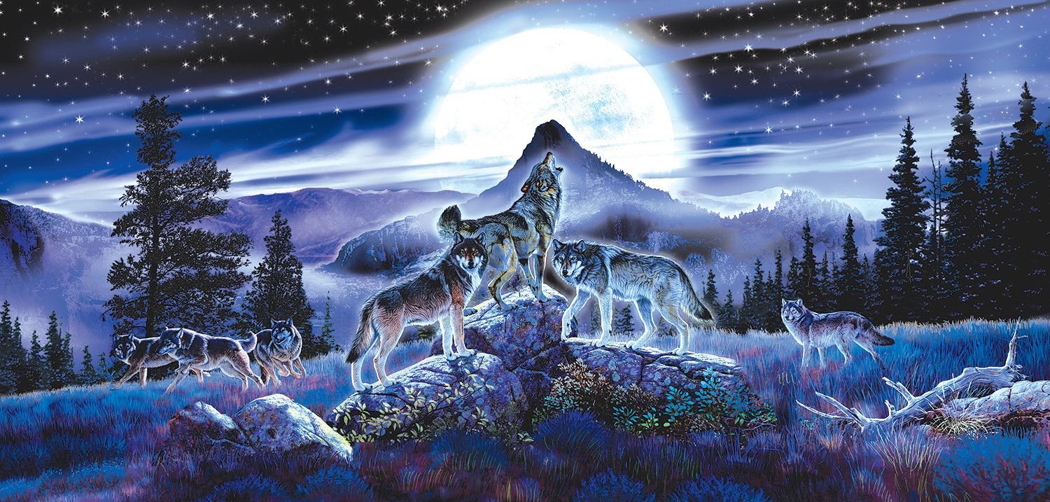 волк и горы картинки
