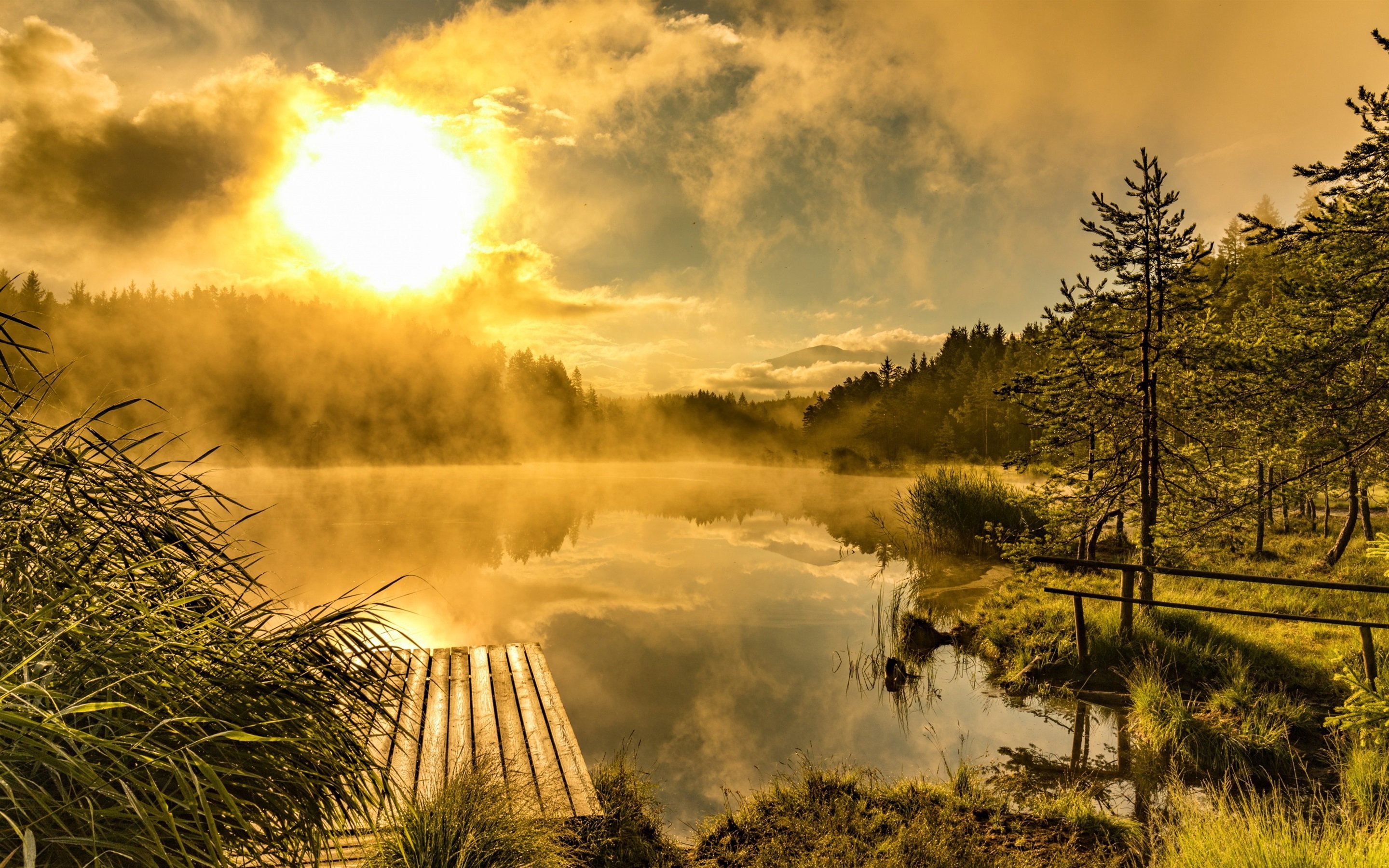 Солнце над лесом. Рассвет над озером Ван фильм 2011. Природа рассвет. Река солнце. Утро природа.