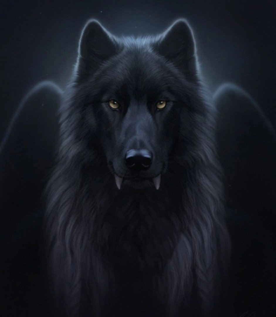 Морда черного волка