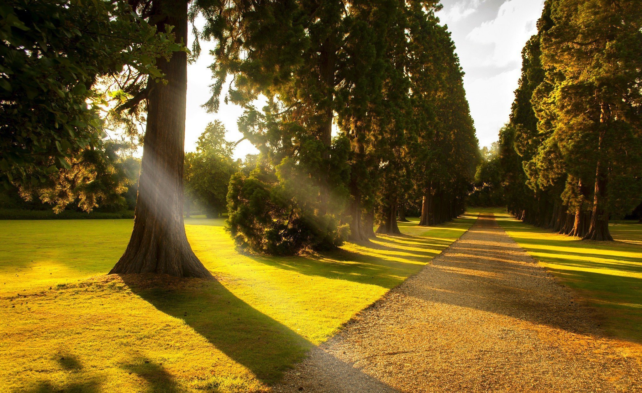 Картинки природы города. Солнечный парк Бельгия. Парк Стоун Англия аллея. Солнечный парк Фрайбург. Красивый парк.