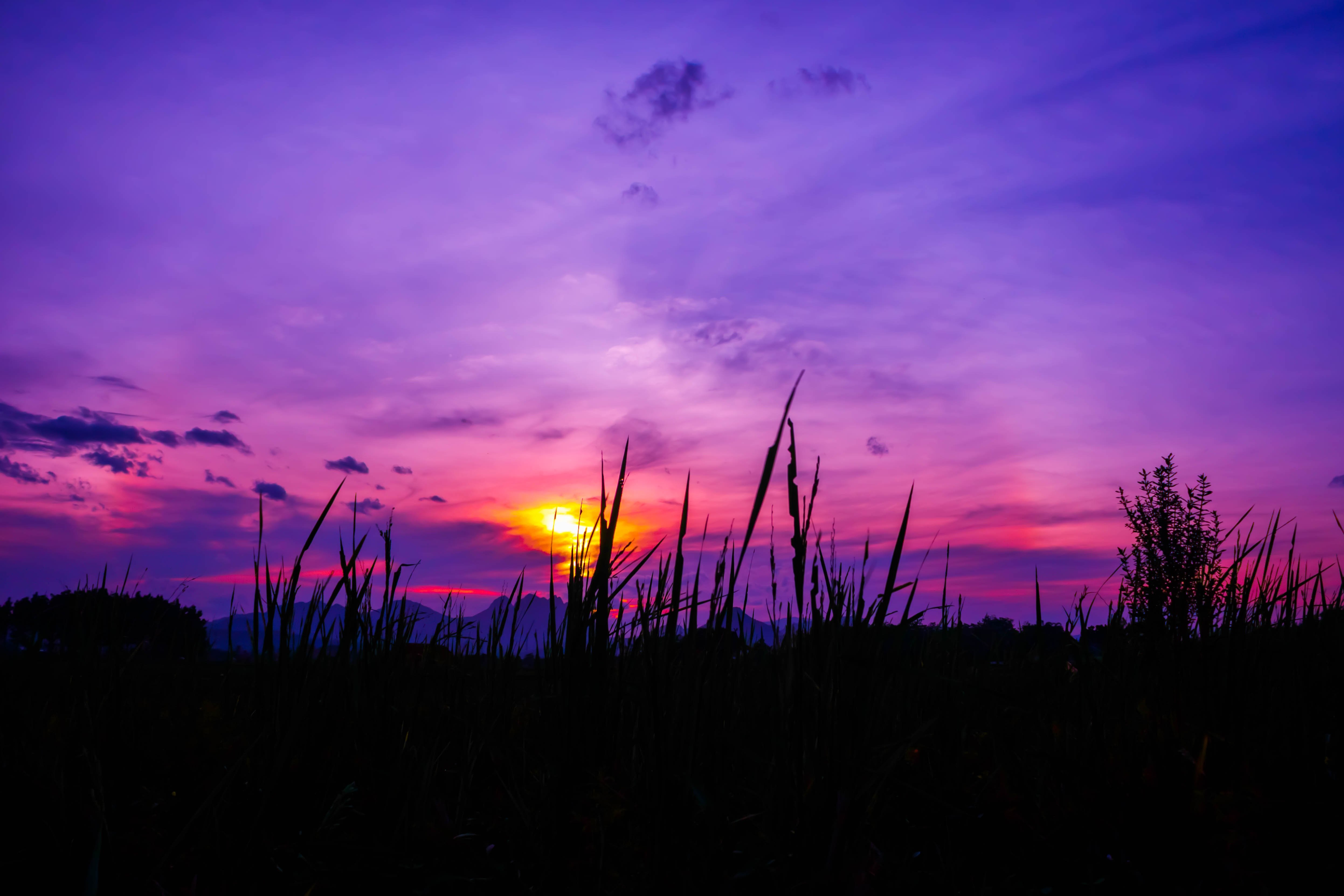 Неоновый закат. Фиолетовый закат. Фиолетовый закат в деревне. Сиреневый закат. Фиолетовое небо.