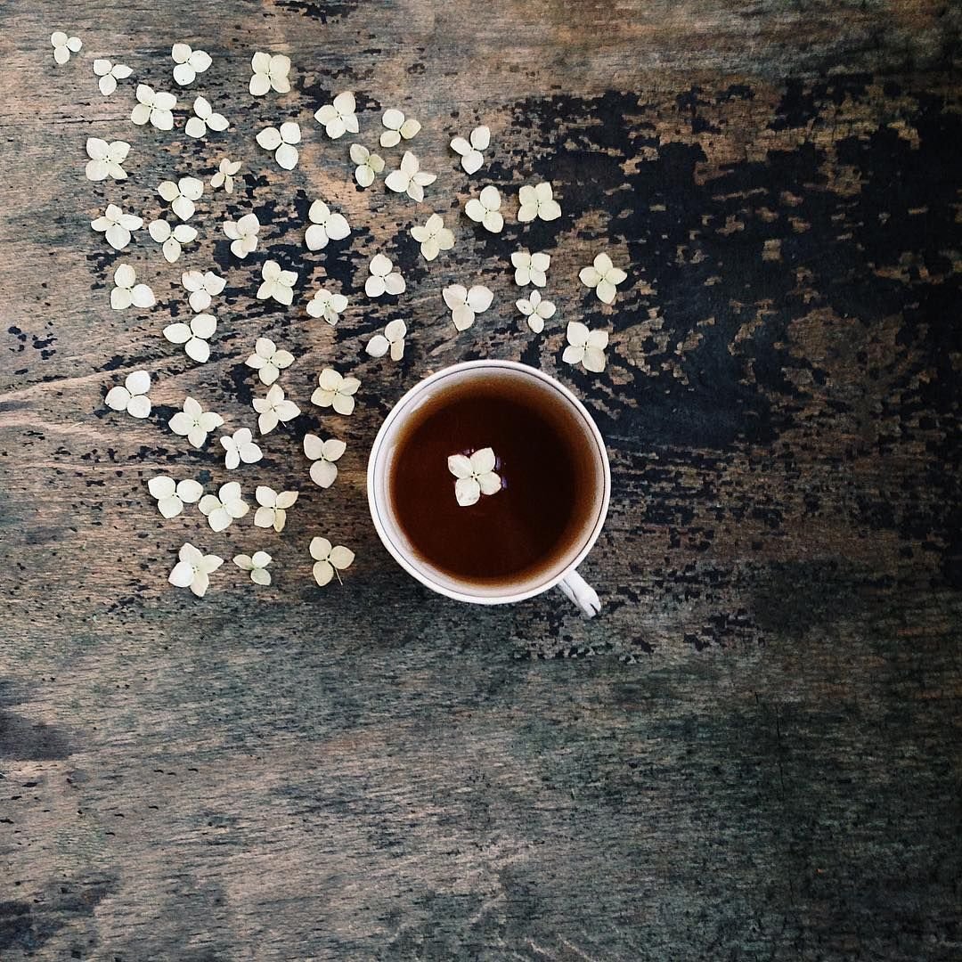 Do a cup of coffee. Чашка кофе. Чашка утреннего кофе. Креативный кофе. Кофе и цветы.
