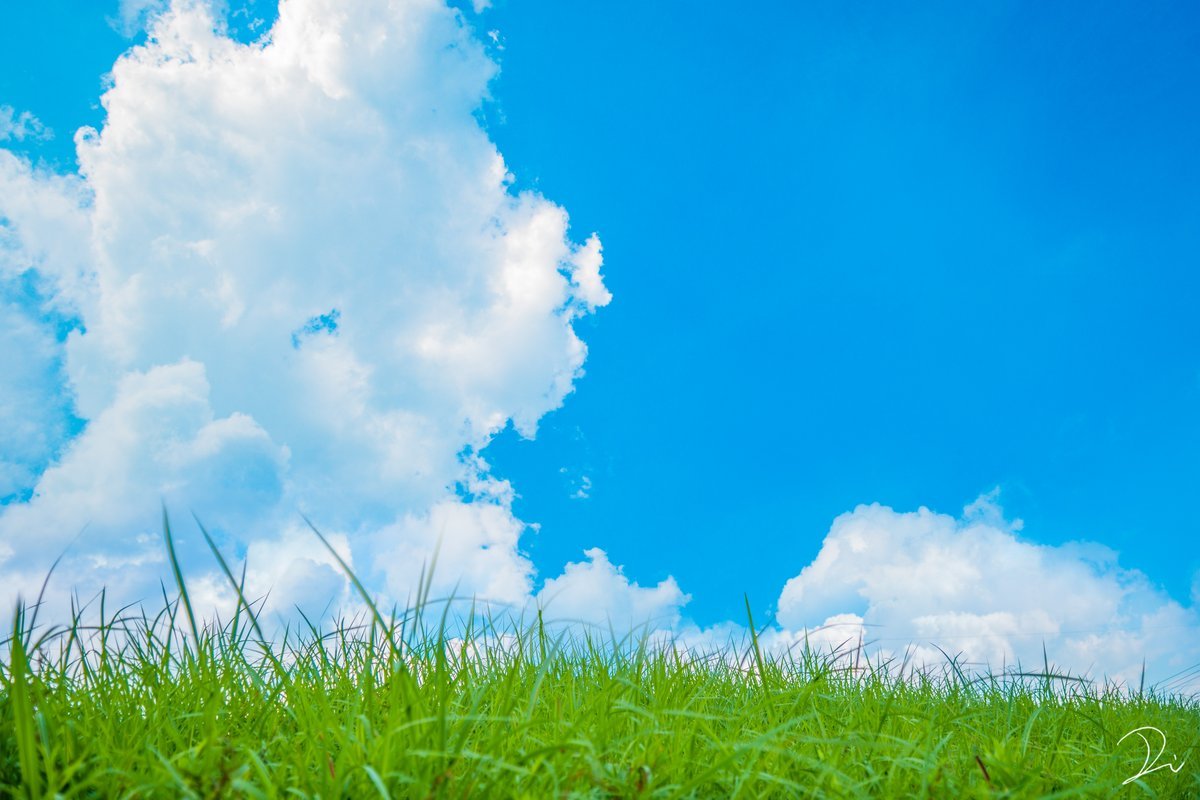 Лето голубое небо трава
