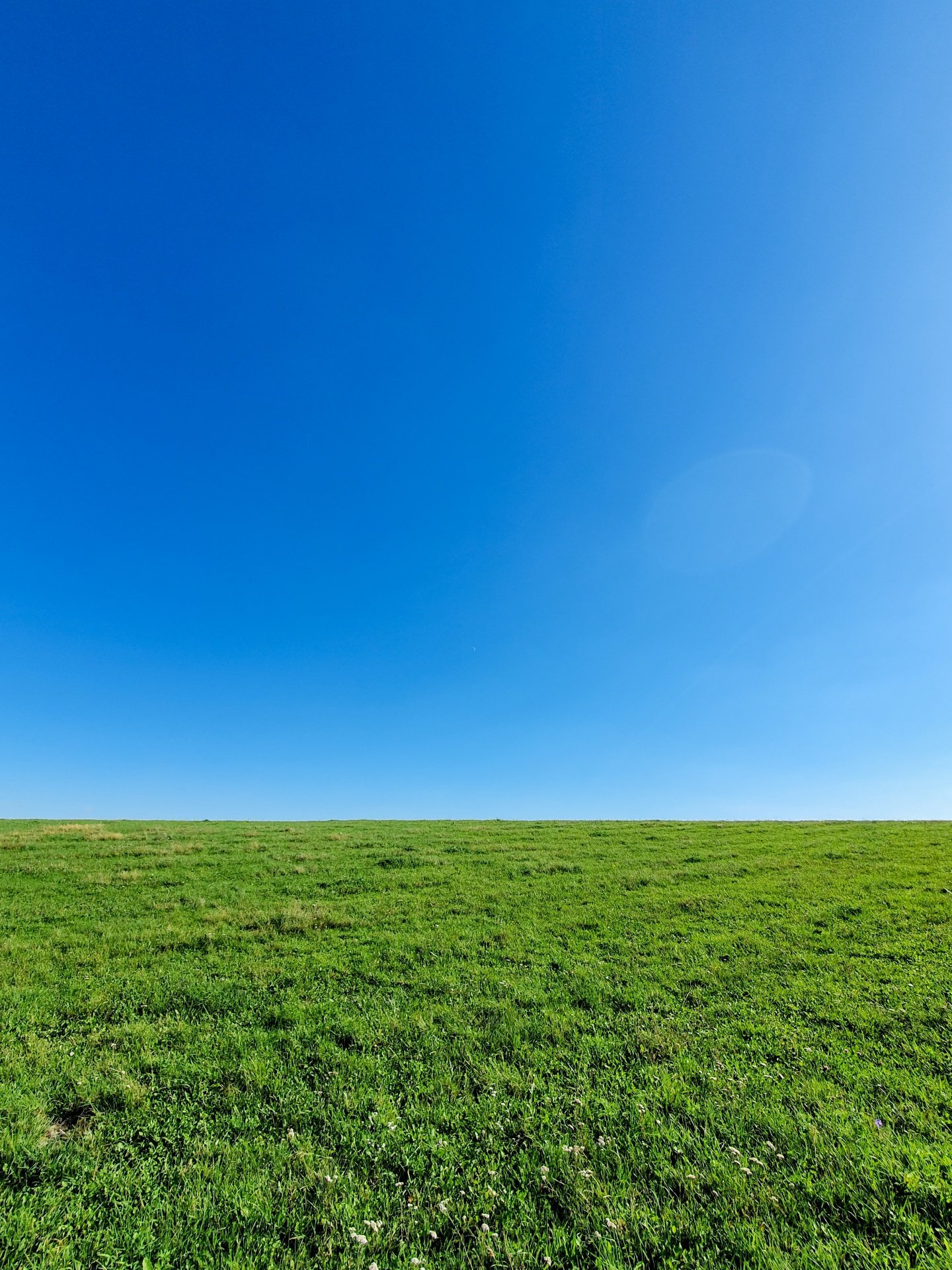 Голубое небо зеленая трава фон - 85 фото