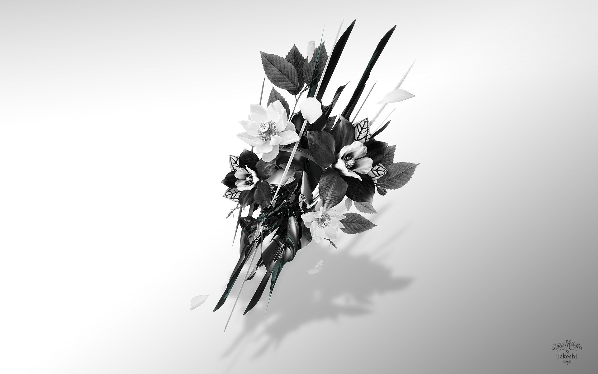 Цветок на темном фоне обои. Цветы Минимализм. Абстракция Минимализм. Цветы на черном фоне. Черно-белый цветок.
