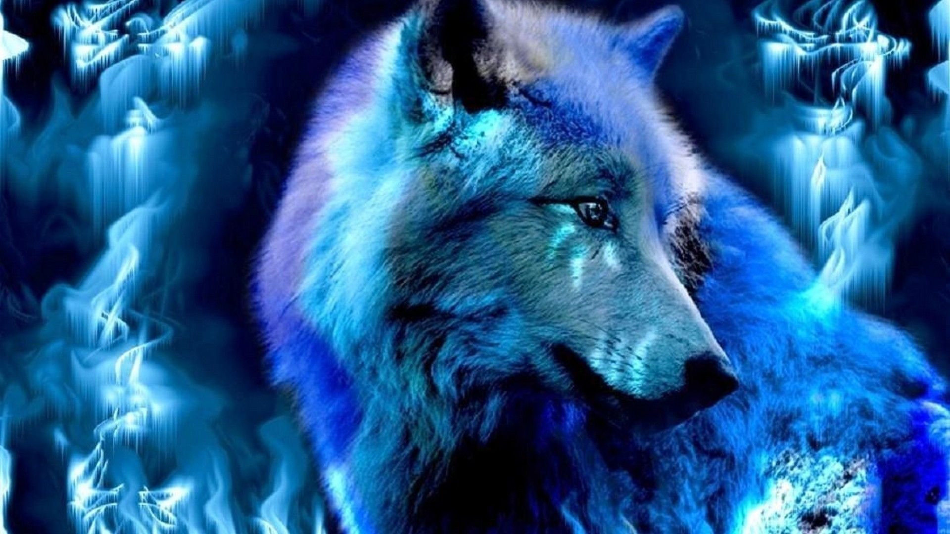 Красивые обои волки. Красивый волк. Синий волк. Картинки на рабочий стол волки. Волки крутые.