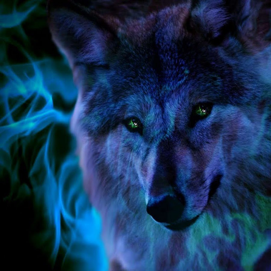 Рисунок волка на аватарку (46 фото)