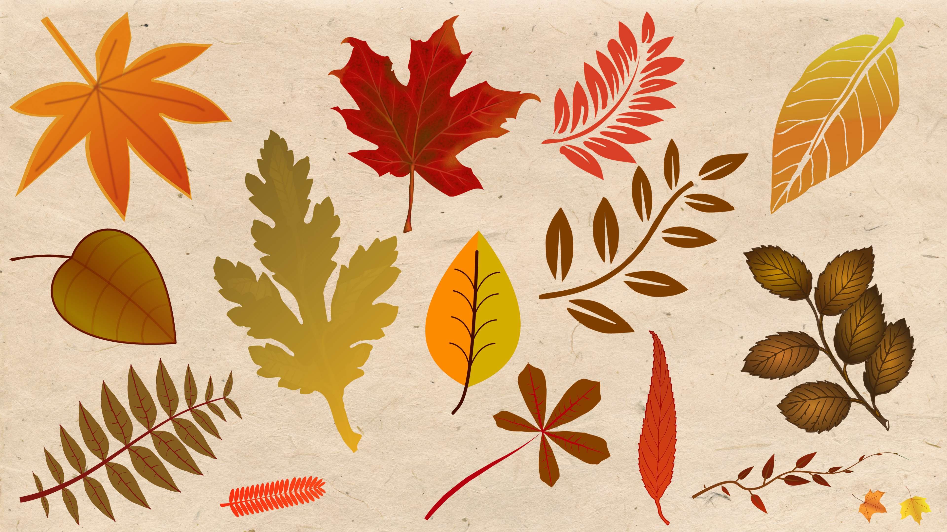 Осенние листья рисунок