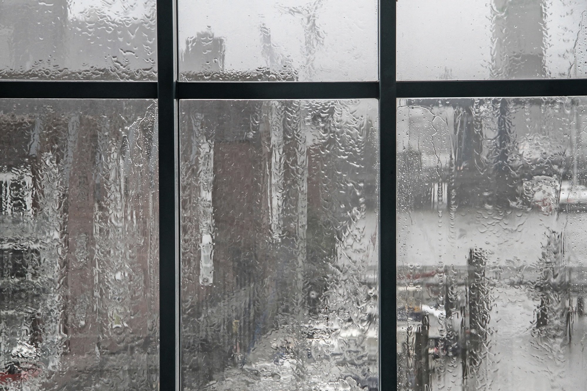 Ветка стучит в окно. Зимнее окно. Вид из окна дождь. Дождь в окне. Серый вид из окна.