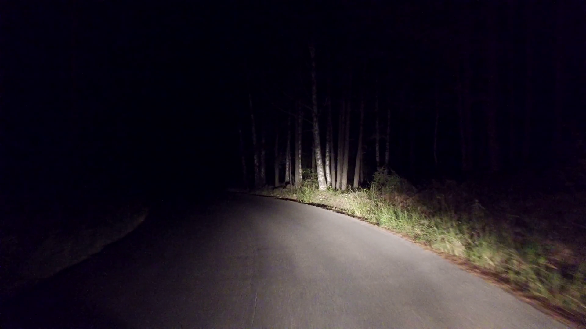 Дорога белела освещенная месяцем. Темная дорога. Дорога ночью. Лесная дорога ночью. Ночная трасса в лесу.