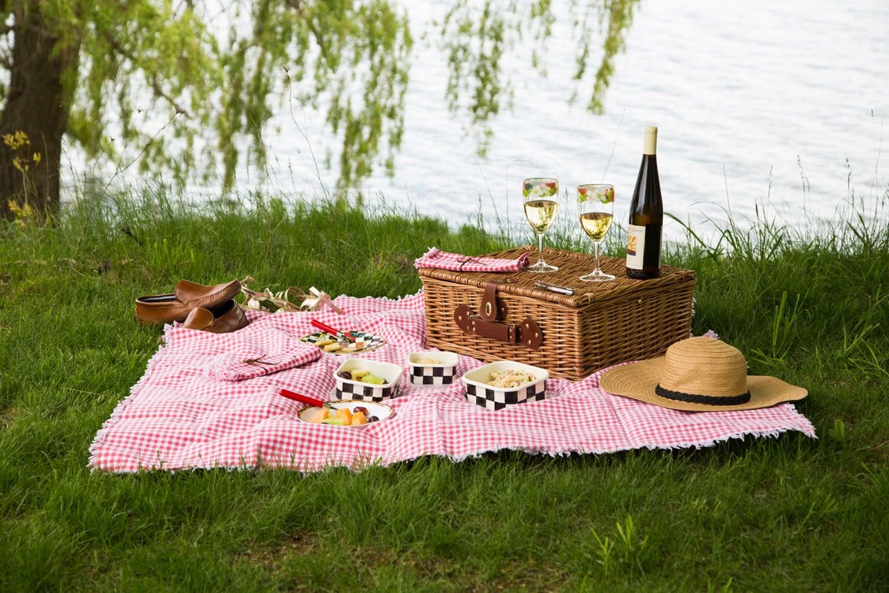 Пикник. Красивые места для пикника. Лето пикник. Пикник летом.