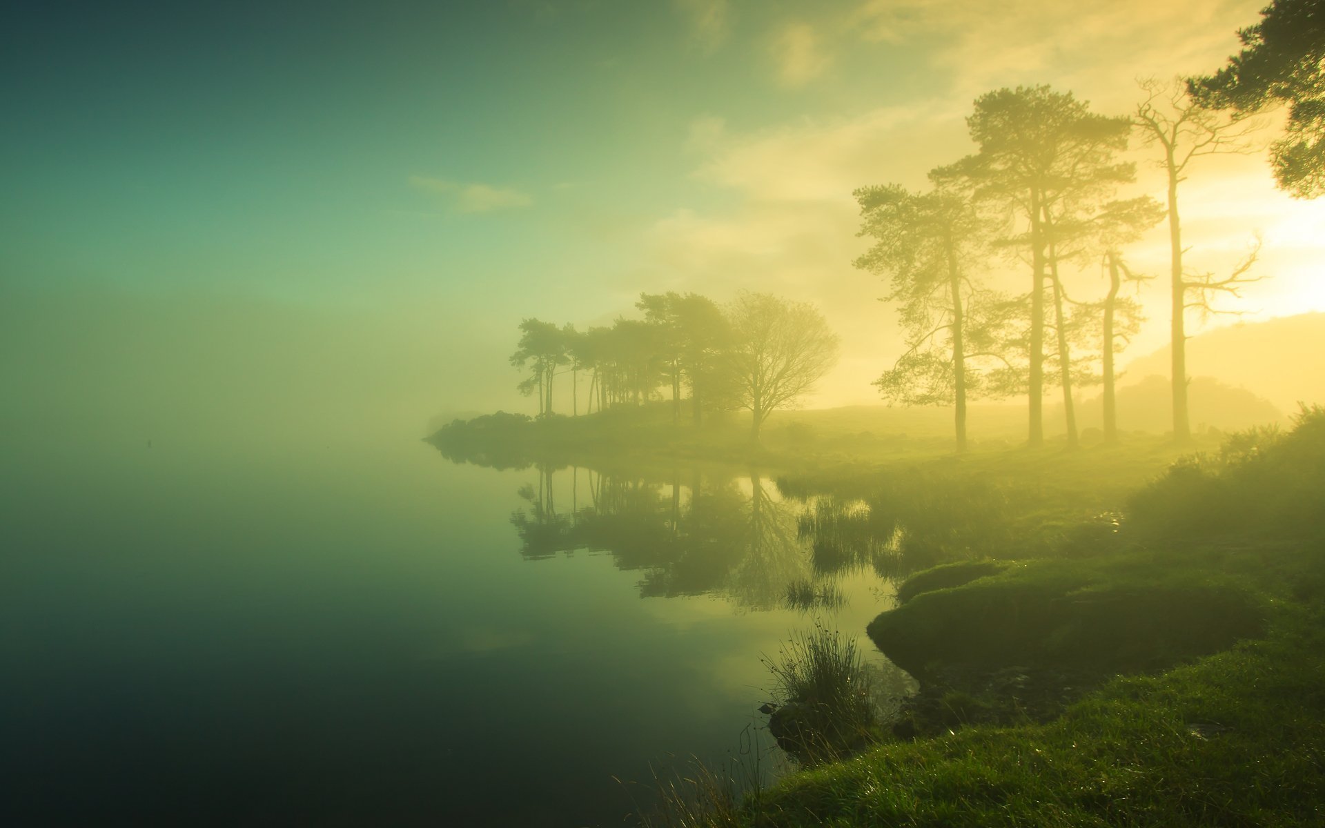 Берега пробуждения. Летний туман на озере. Озеро деревья трава солнце. Туманный пейзаж. Пейзаж спокойствие.