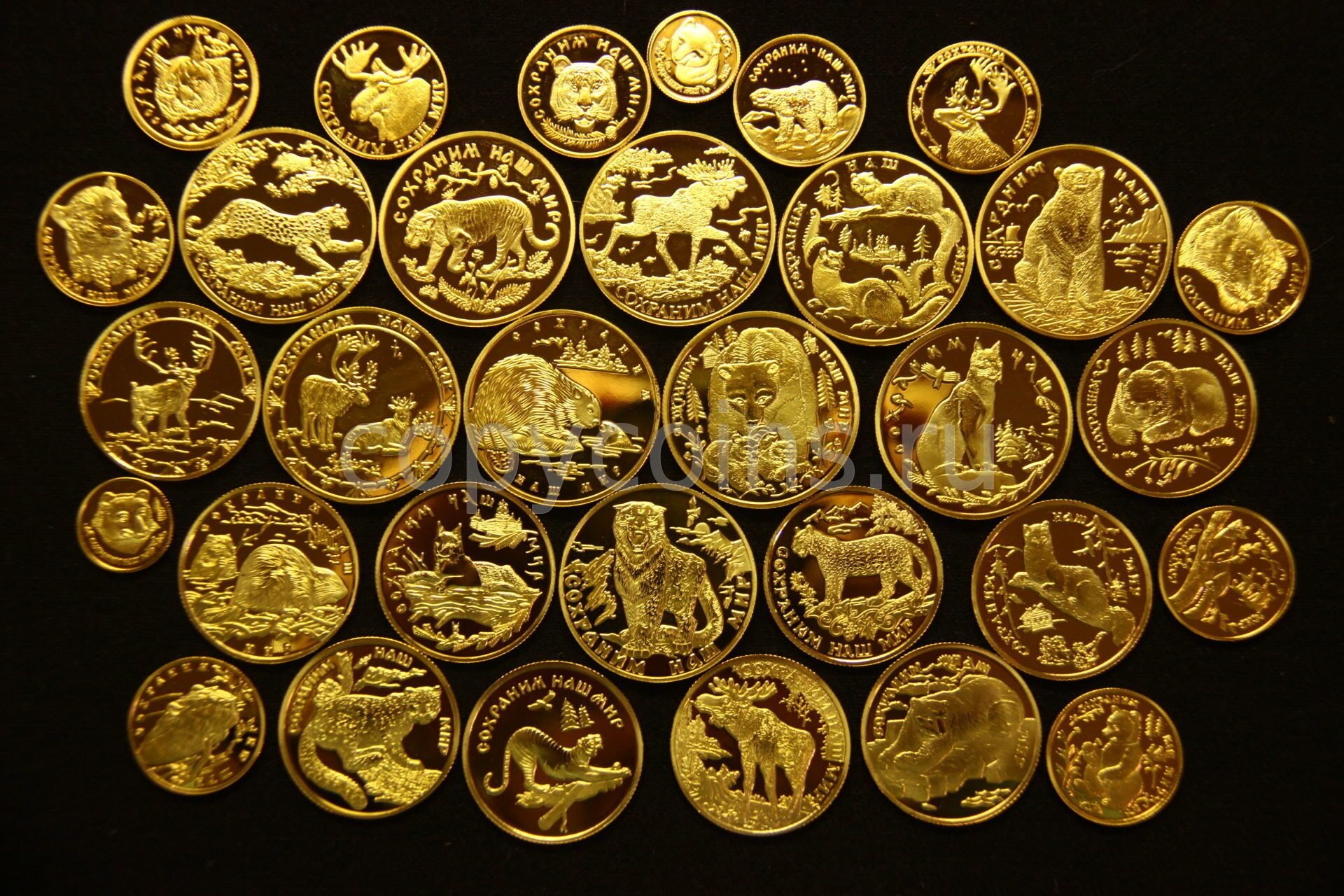 Где купить золотые монеты. Коллекция золотых монет. Монета Золотая. Коллекционные монеты золото. Современные золотые монеты.