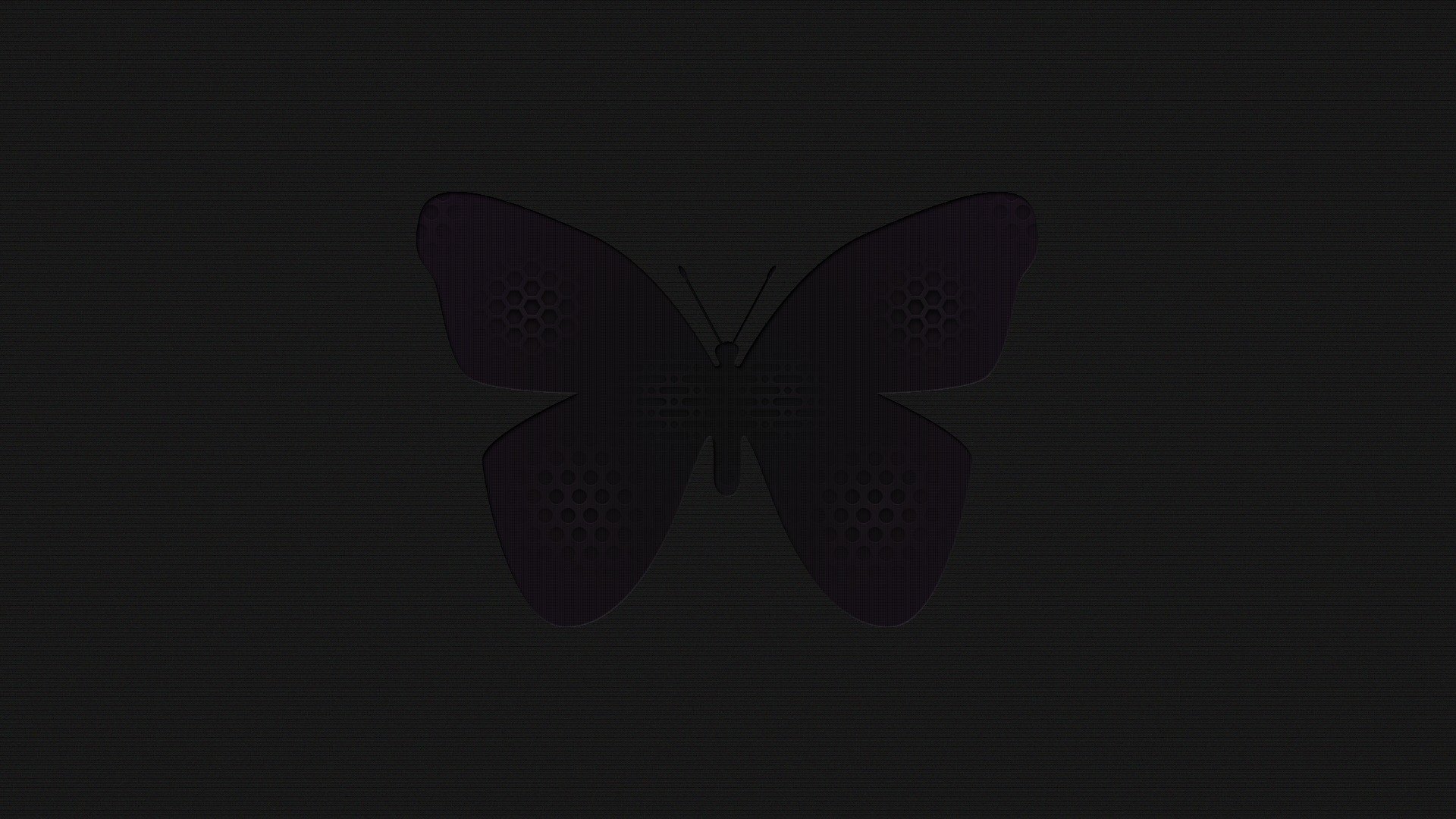 Черная бабочка на черном фоне