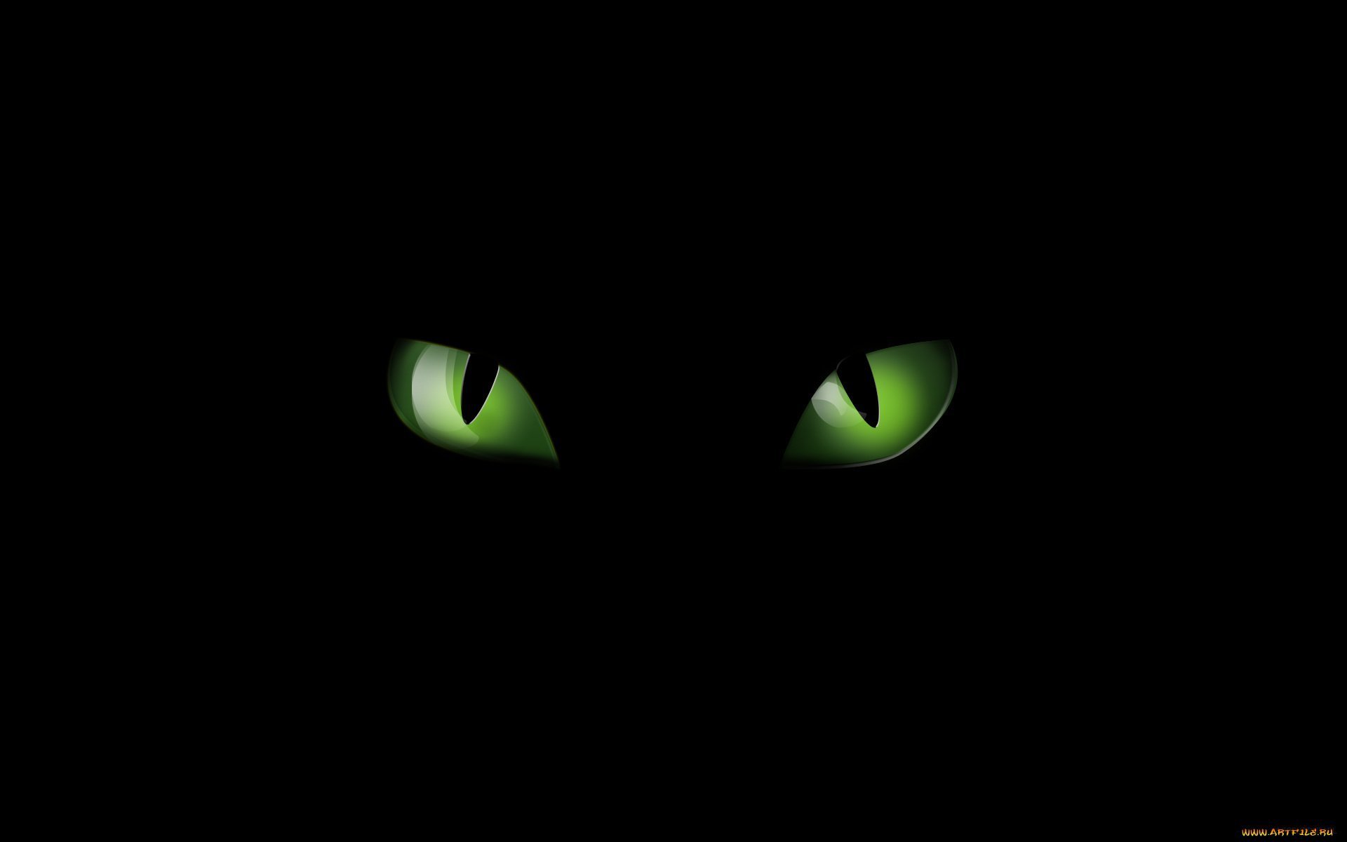 Черный зеленый глазками. Кошачьи глаза в темноте. Глаза кота в темноте. Кошачьи глаза на черном фоне. Кошачий глаз.