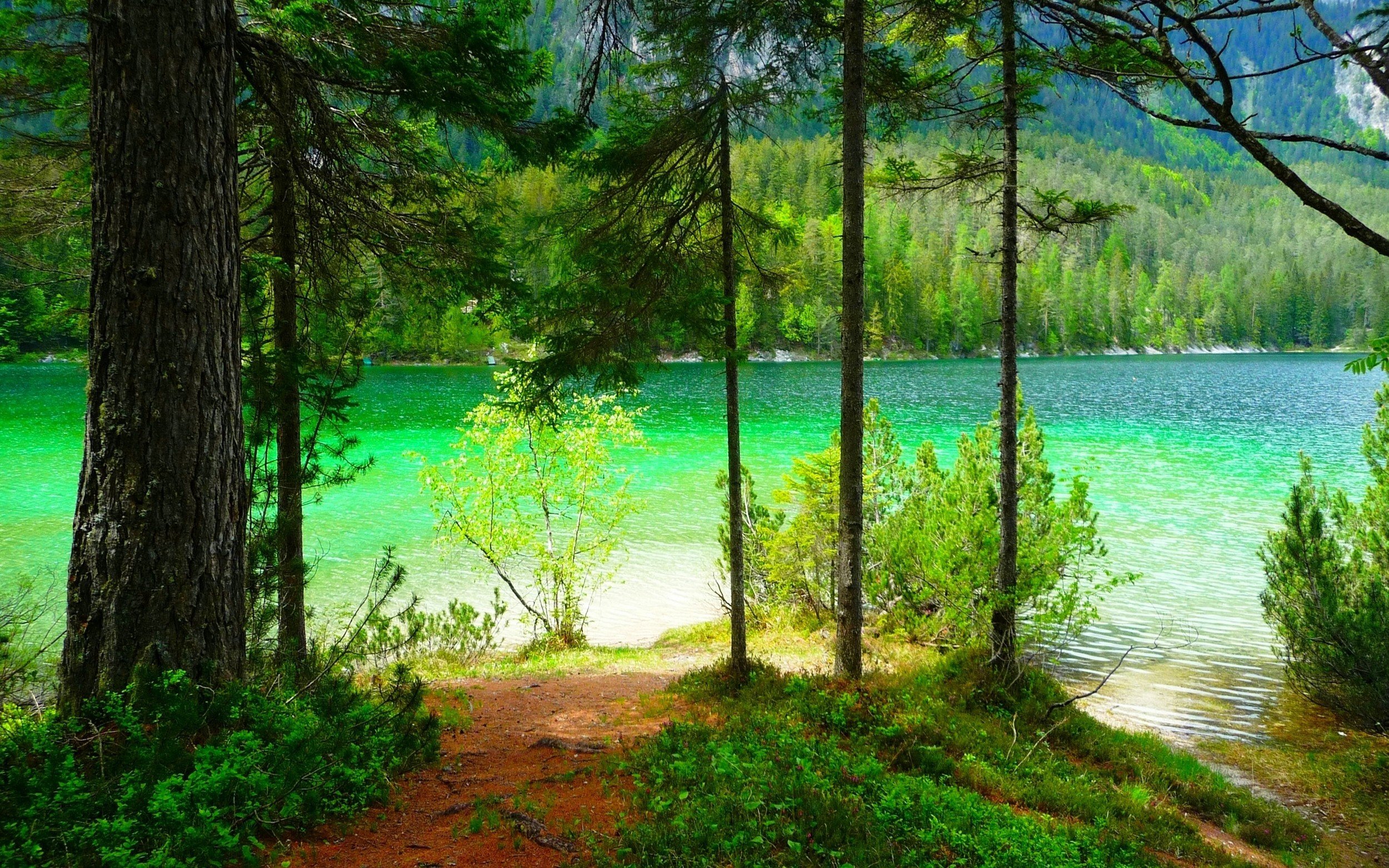 Лесное озеро (Forest Lake)