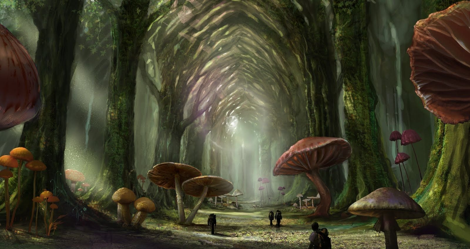 Загадочное царство. Фантастические грибы лес. Сказочные грибы. Фантастические растения. Сказочный лес с грибами.