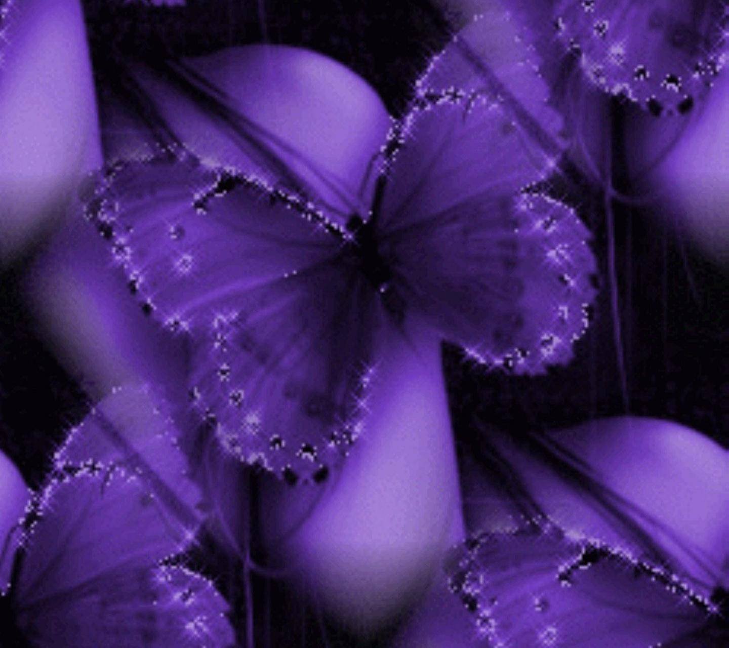 Аватарки с бабочками. Фиолетовые цветы. Бабочка фиолетовая. Сиреневые бабочки. Фиолетовые бабочки Эстетика.