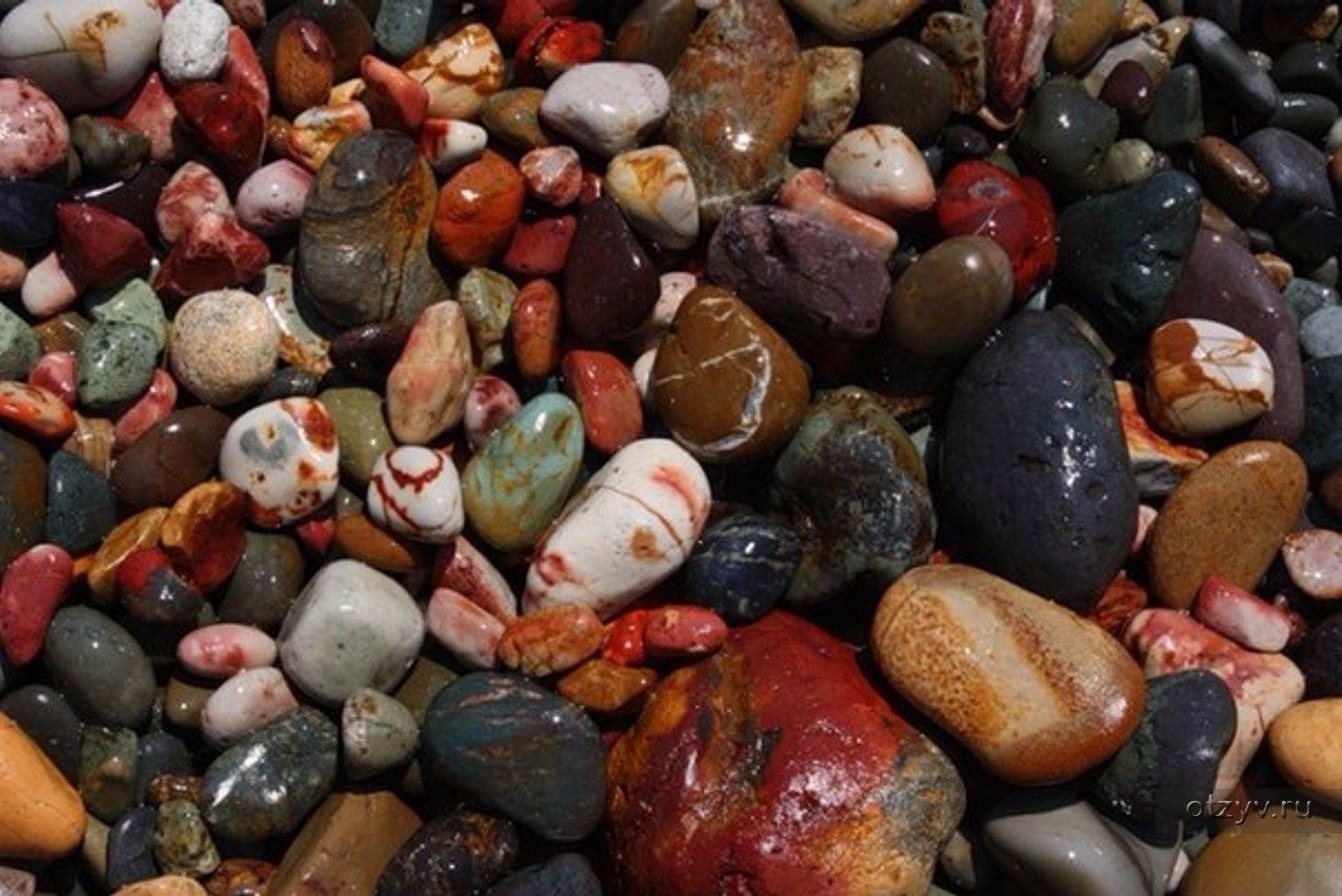 Где красивые камни. Камни пляж Яшмовый Фиолент. Яшма камень на Яшмовом пляже. Яшмовый пляж Крым базальт. Яшма с Яшмового пляжа Крым.