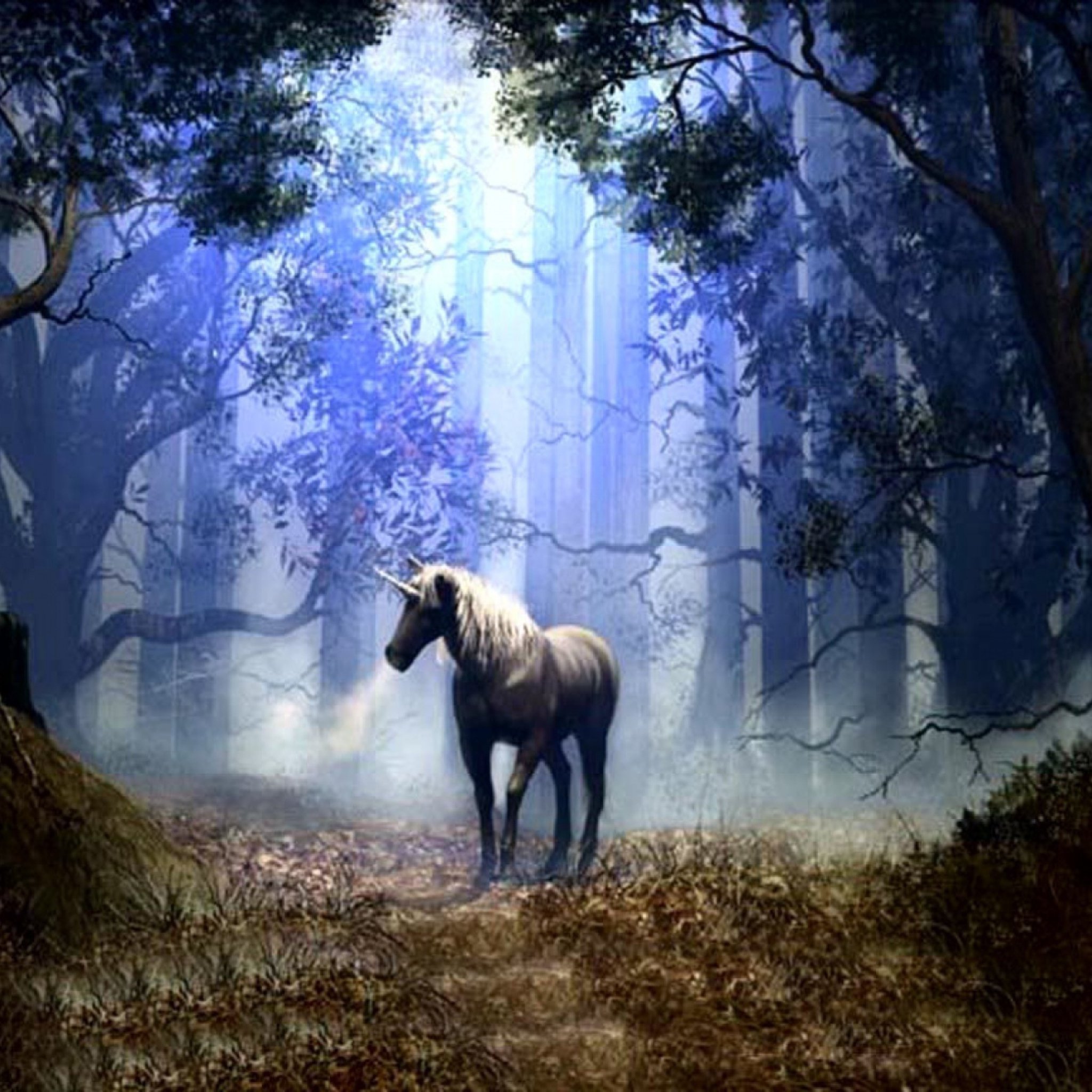 Лошадь в лесу арт