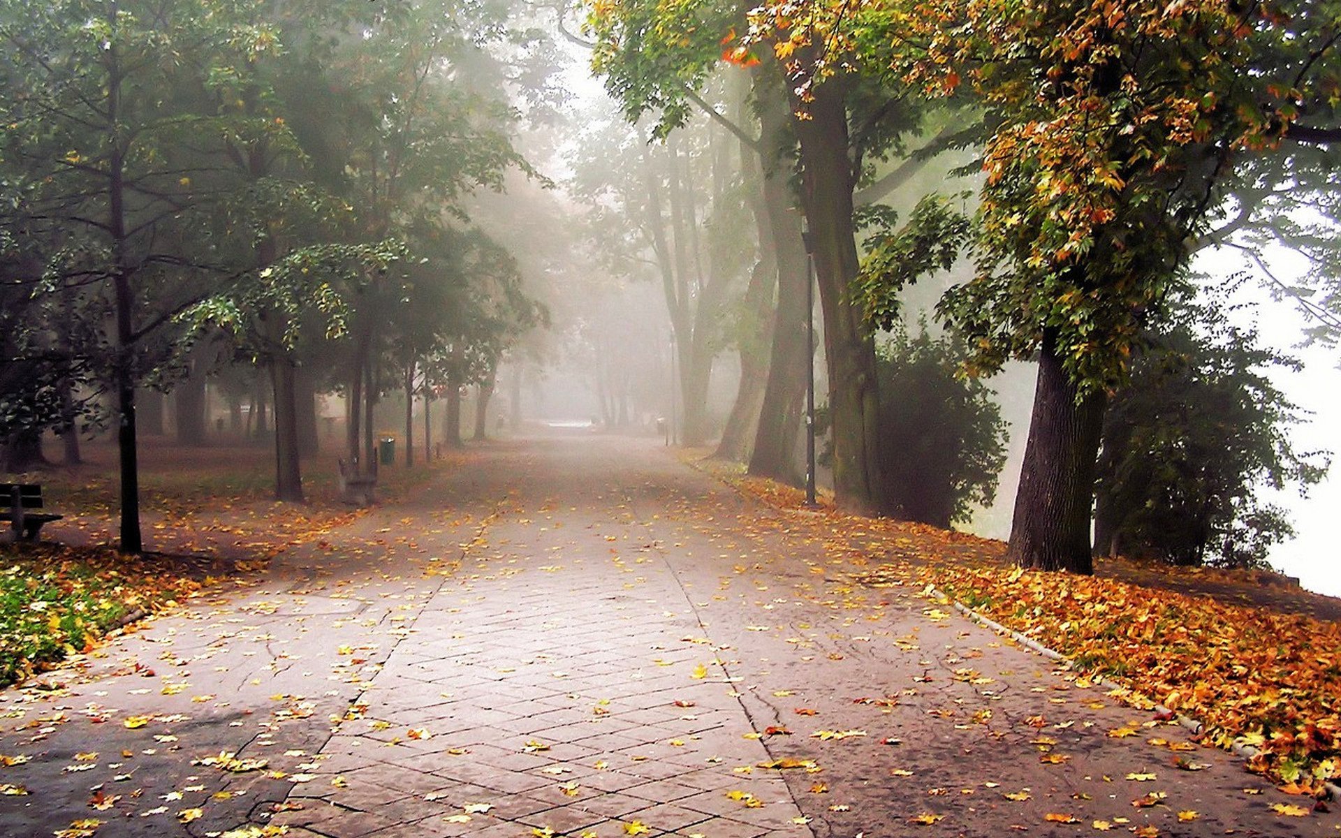 Парк пасмурно. Осенняя улица. Осенний город. Осень в городе. Улица осень.