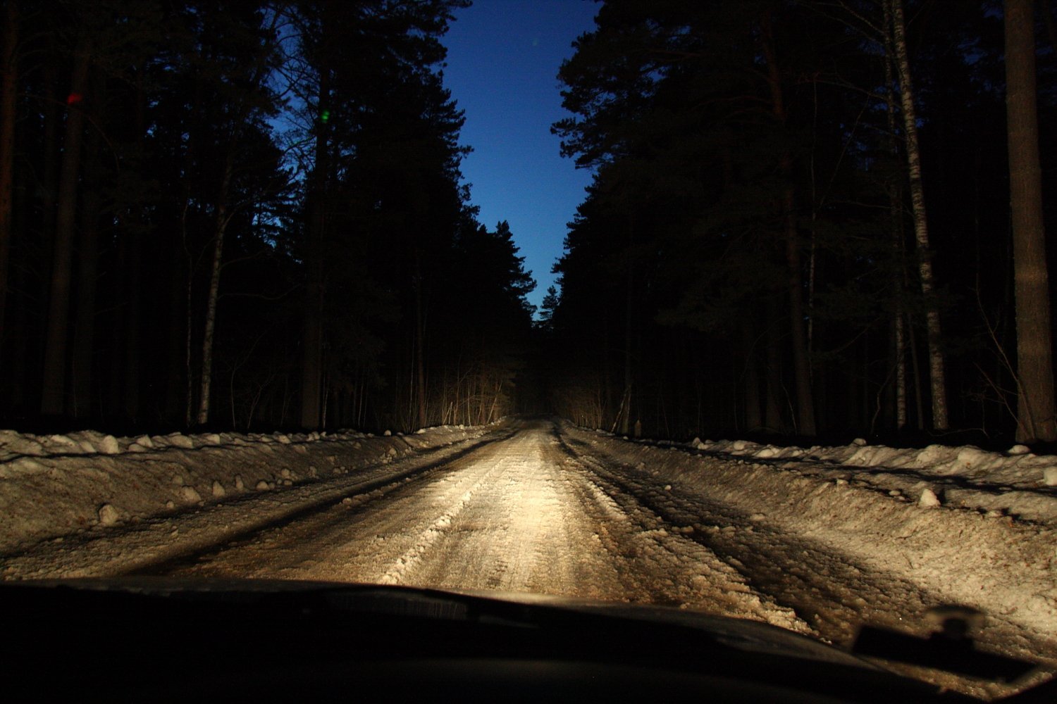 Лес из машины ночью