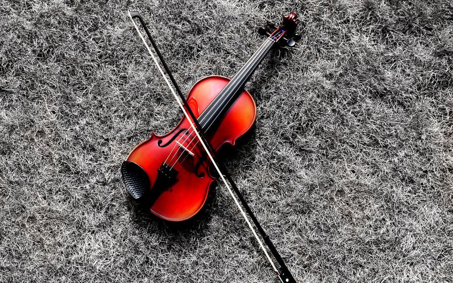 Скрипка париж. Скрипка. Черно белые с цветными элементами. Красная скрипка. Скрипка фото.