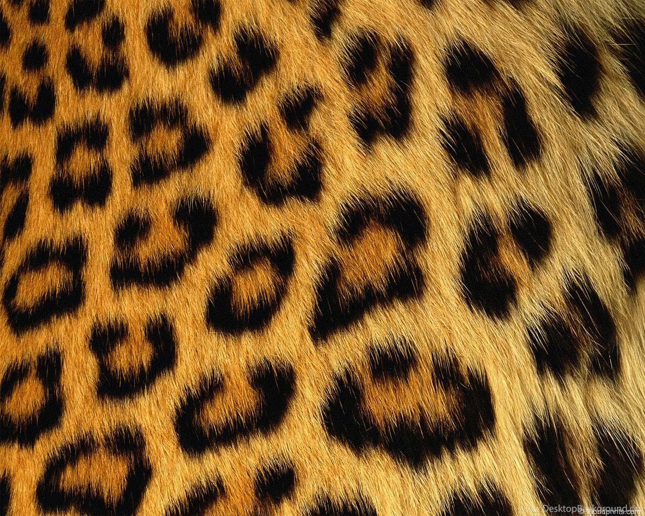Animal pattern. Леопард паттерн. Леопард фон. Шкура леопарда. Леопардовый цвет.