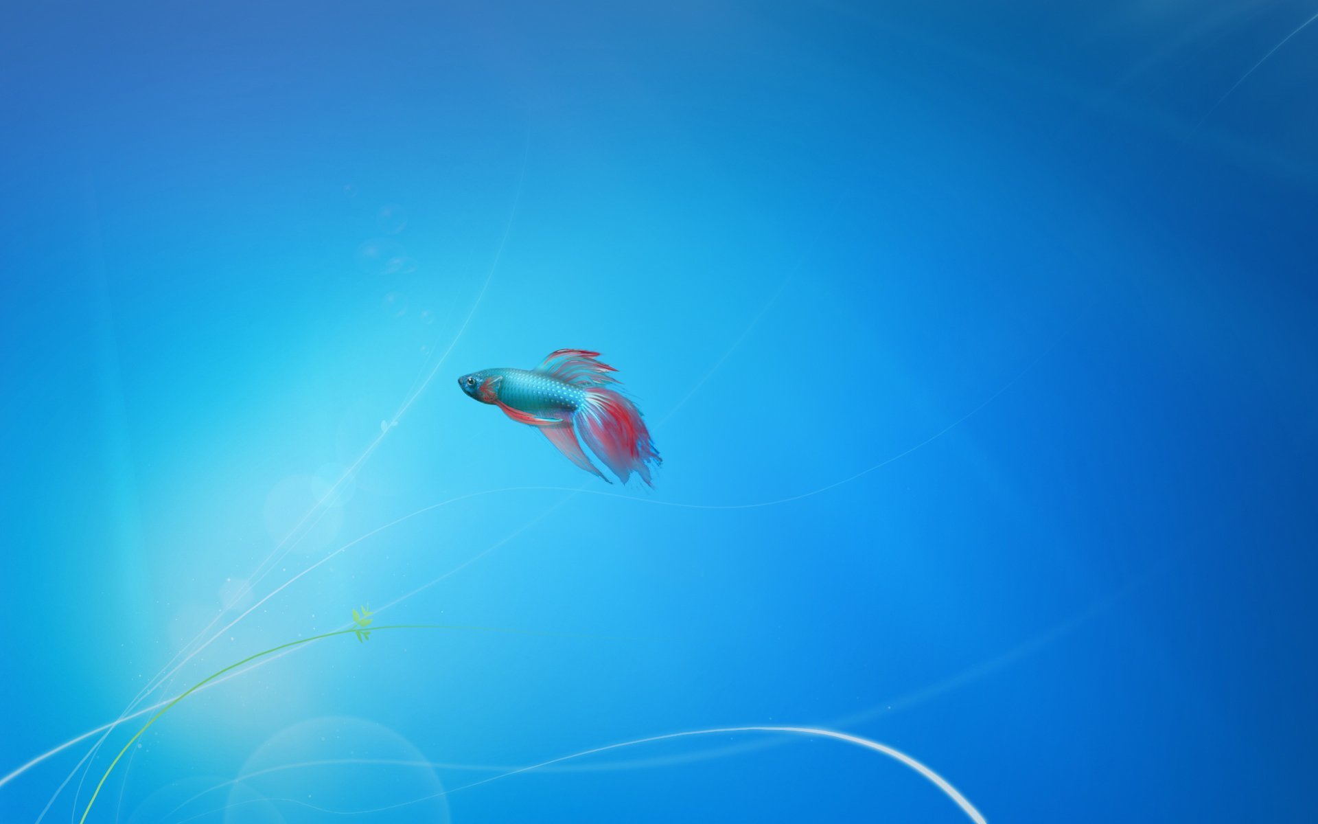 Windows 7 рыбка