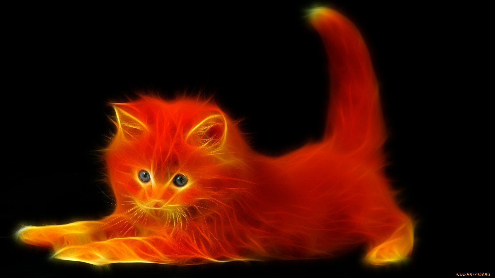 Черный телефон оранжевая. Огненный котенок. Огненный кот арт. Кот в огне. Красный кот.