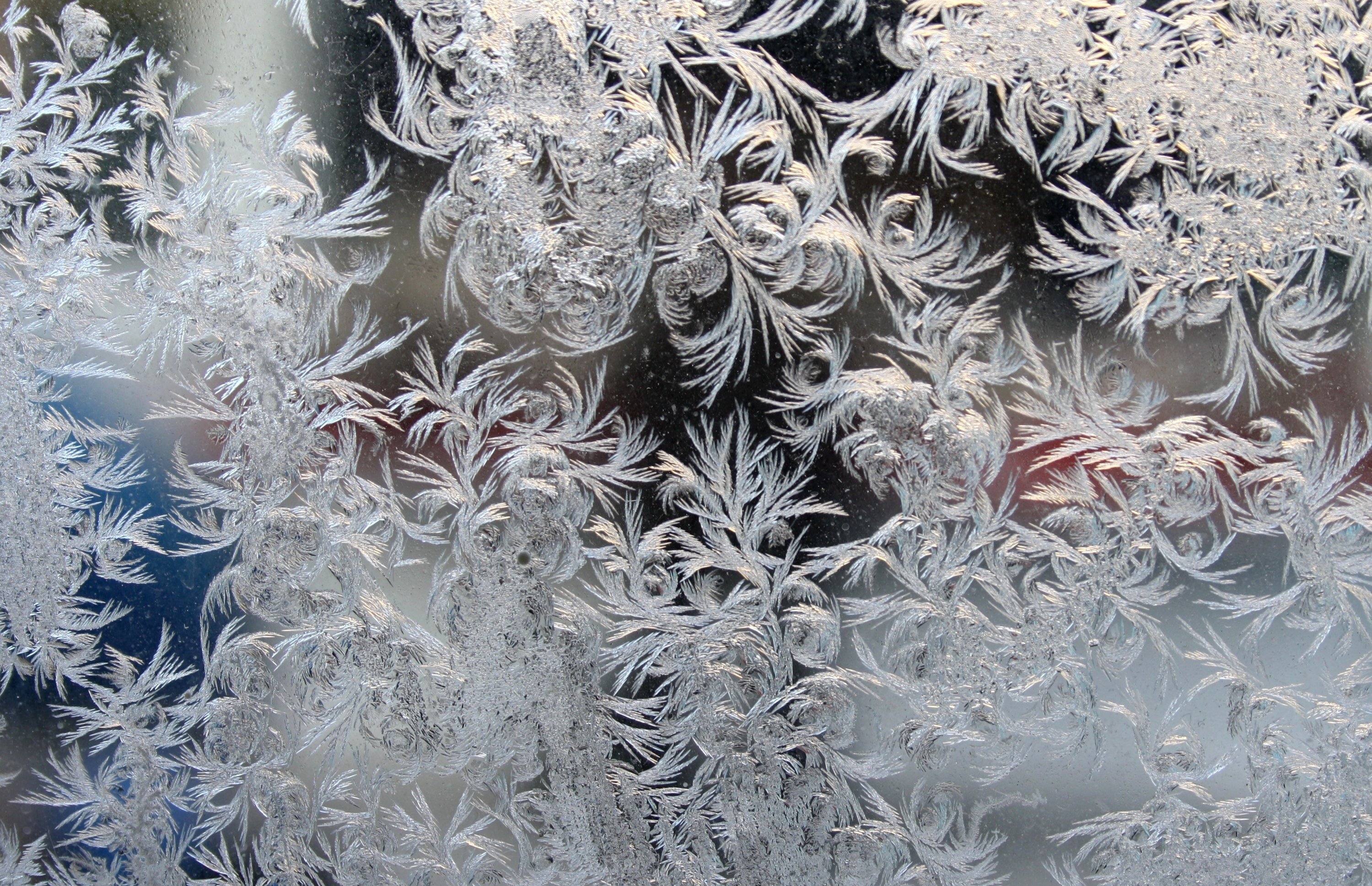 Мороз разрисовал. Морозные узоры на окне. Морозные узоры на стекле. Узоры на окнах от Мороза.